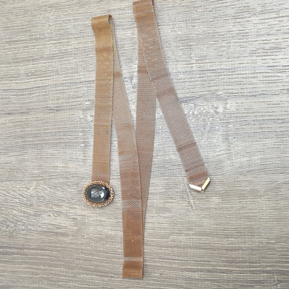 Vintage Intaglio Hemitate Cameo Gold Mesh Belt main image 9